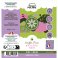 Souffle frais - NUAGE POLAIRE - SENSE - 50ml
